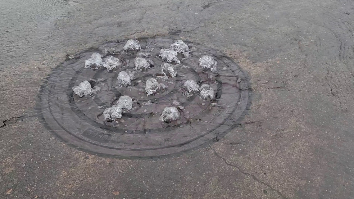 Areas of Oregon, Washington prepare for flooding and slide risk amid heavy rains