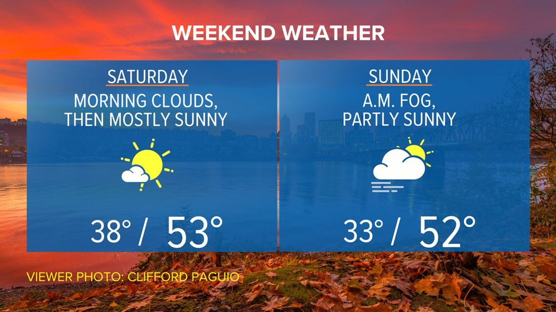 Final escaped OHSU monkey found and captured | kgw.com