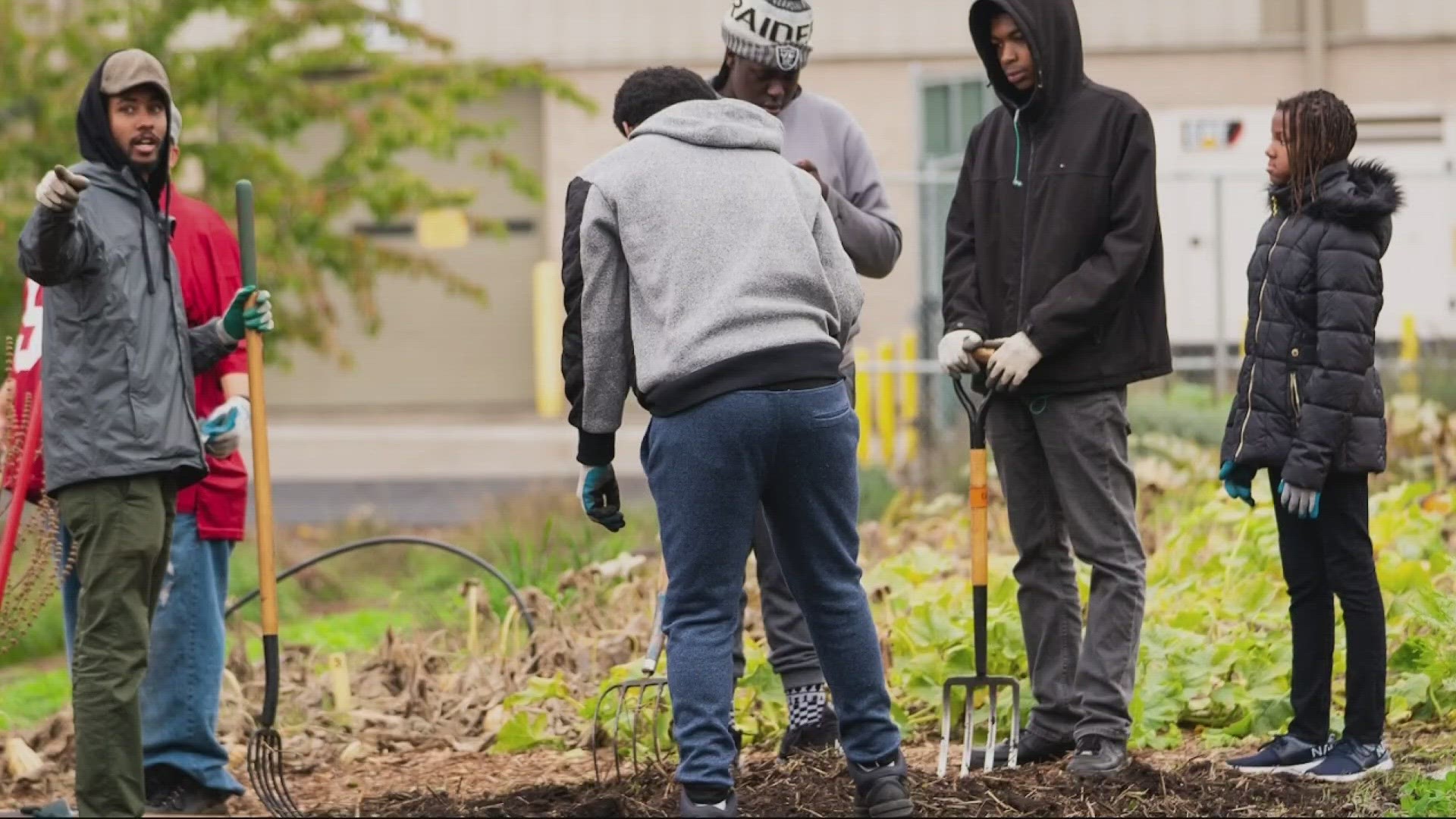 The Feed'em Freedom Foundation grows and distributes produce for food pantries. The nonprofit also educates BIPOC communities on how to grow their own food.