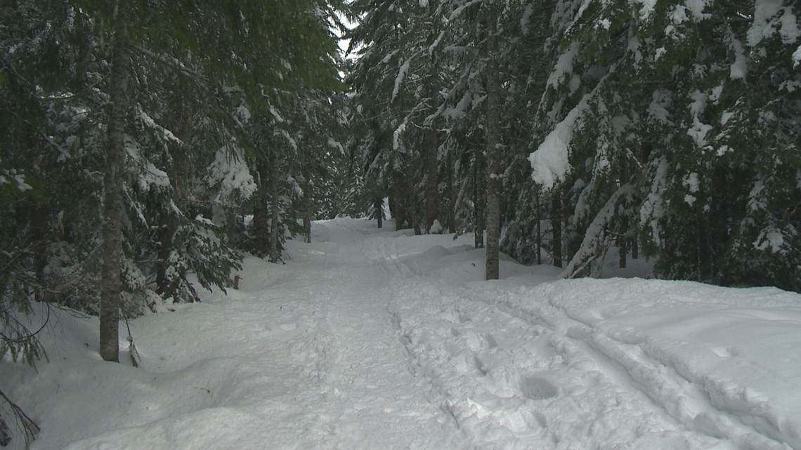 Mt. Hood snowshoeing tours with Mt. Hood Outfitters