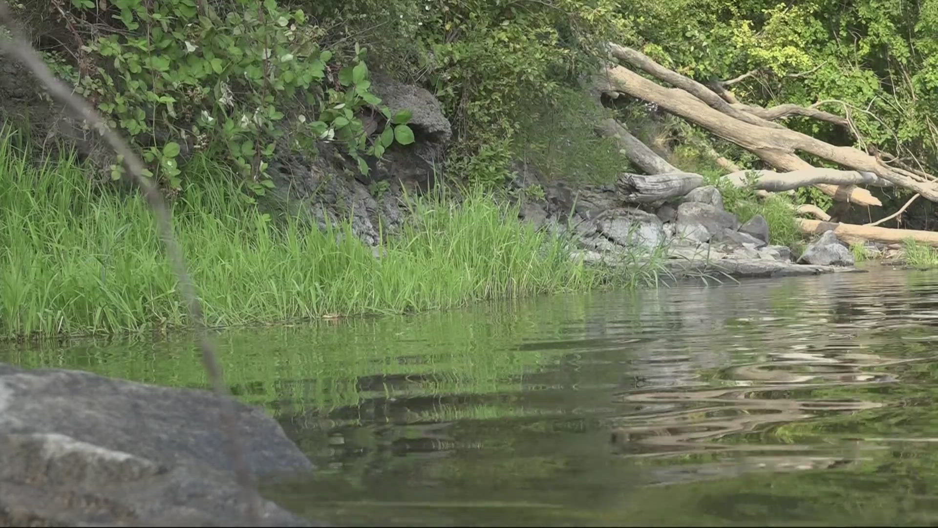 A family was floating down the Willamette River near Corvallis on two inflatable rafts that were tied together when they hit a partially submerged tree.