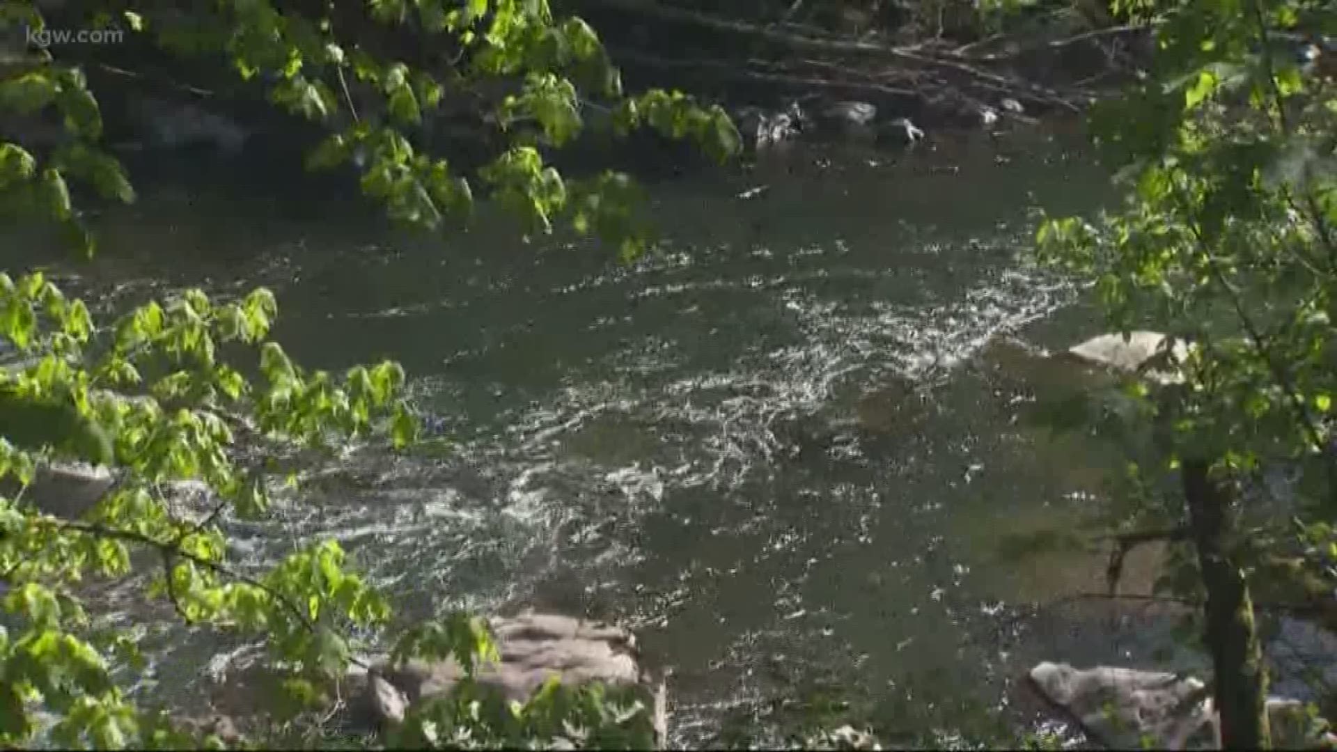 A man is missing and a woman is recovering after they were thrown from their innertubes while floating down the Washougal River Saturday, the Clark County Sheriff’s Office said.