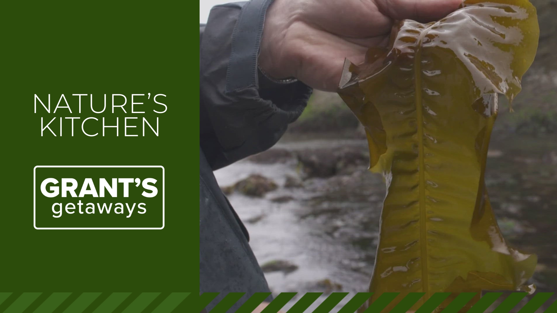 John Kallas knows just where to find Oregon's tasty shellfish, seaweed and edible plants, making quick work of foraging for food.