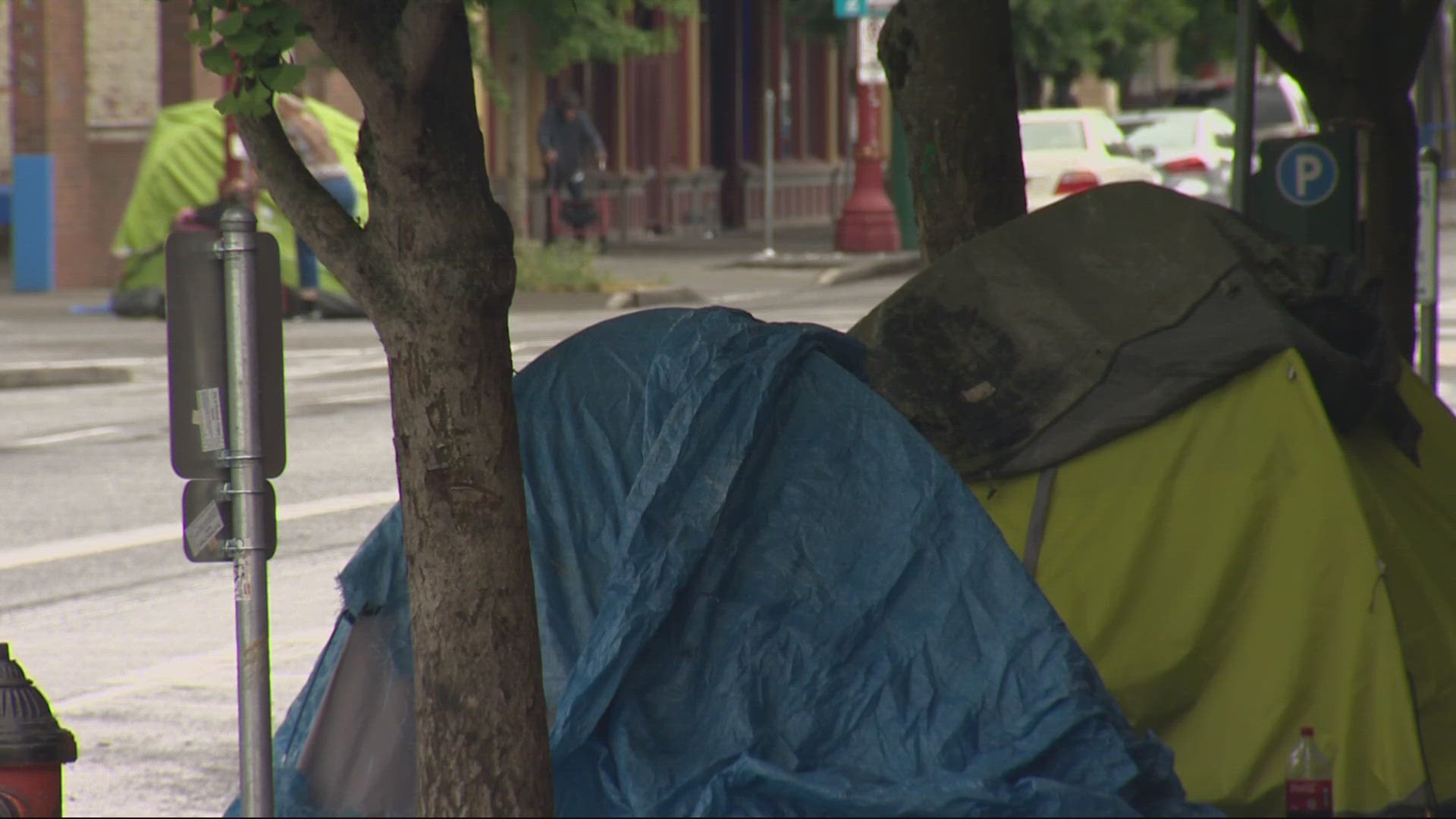 Ten of thousands of tents and tarps have been given to people experiencing homelessness in Multnomah County. Some argue it's humane, other's a waste of money.