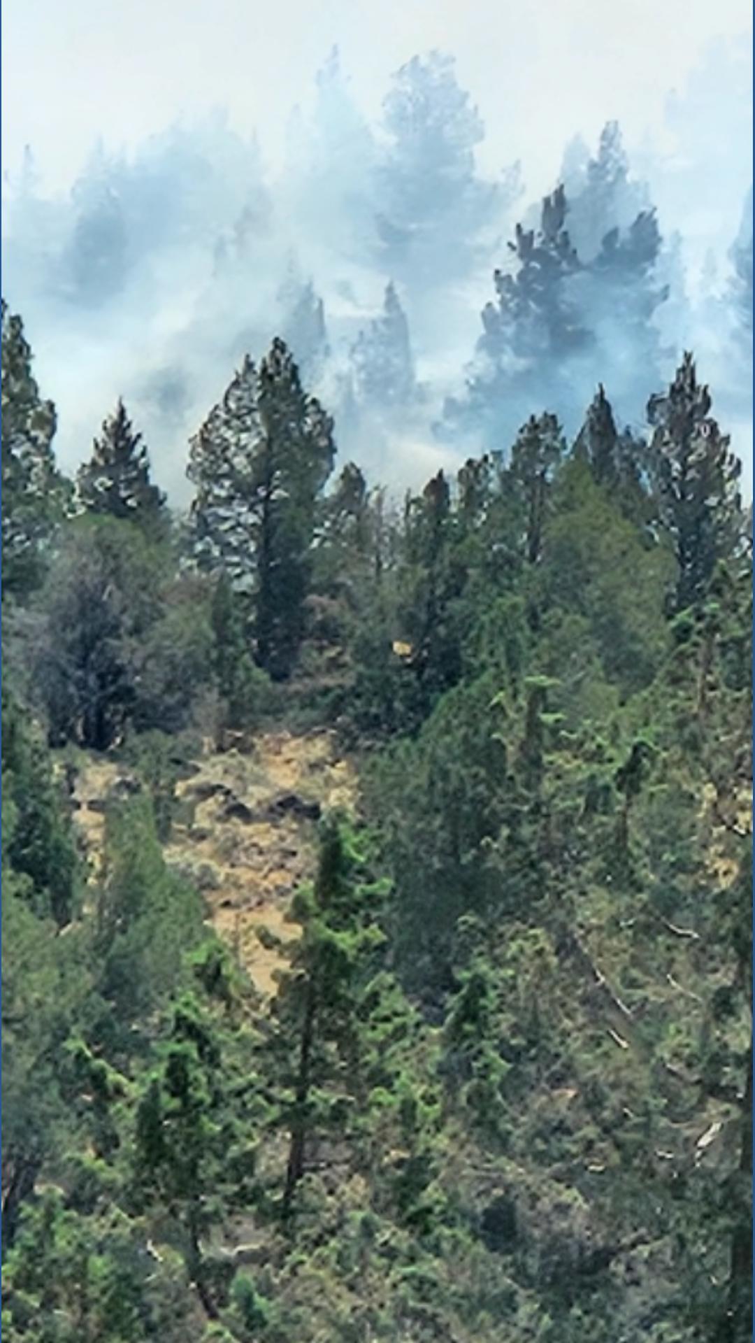 Cram Fire in central Oregon grows over 40,000 acres | kgw.com