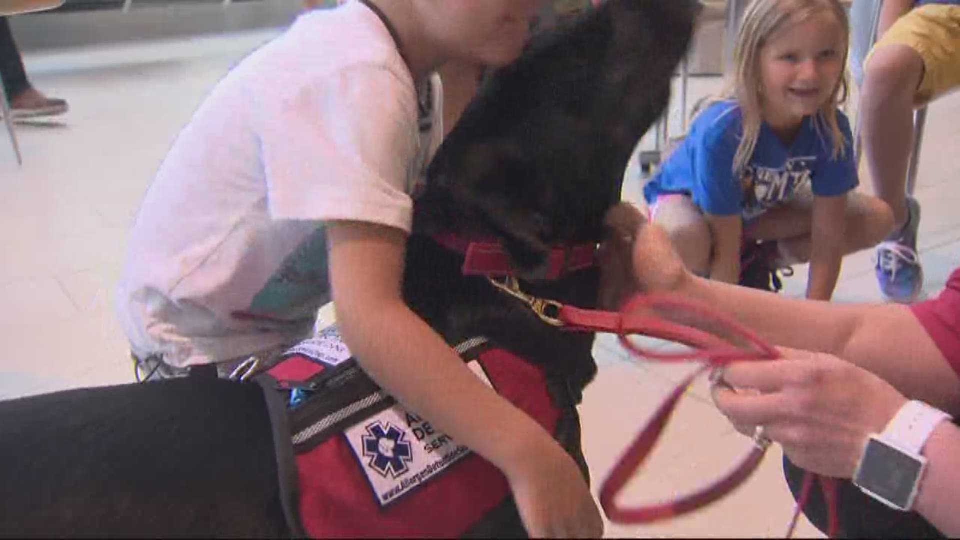 Gresham family welcome therapy dog that can detect gluten. KGW, Aug. 1, 2017