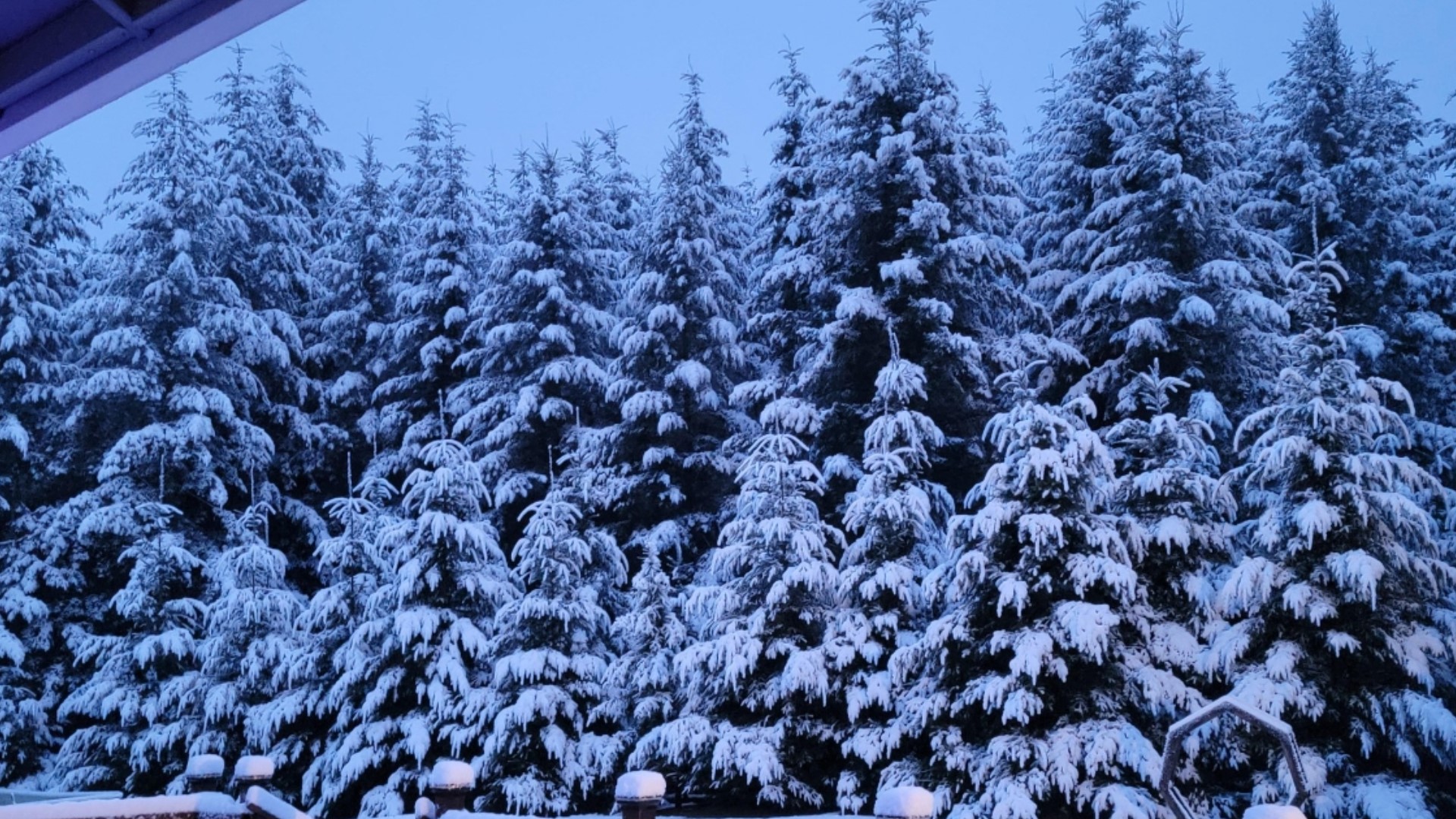 Tourists visit the coast range to see Valentine's Day snow | kgw.com