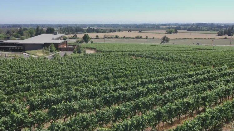 Oregon's first exclusive sparkling winery will soon open in Dayton