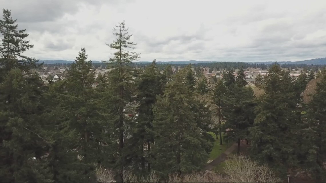 Oregon bill seeks to boost state's tree canopy in an effort to fight climate change