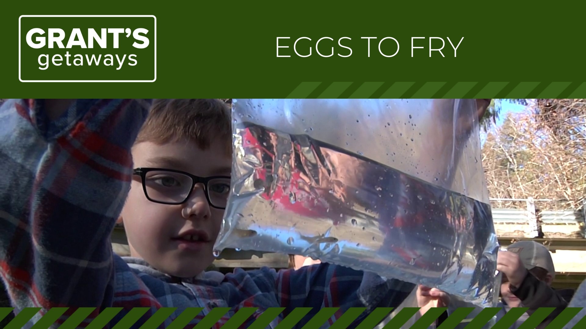 'Eggs to Fry' is an annual program that lets Oregon school kids learn about aquatic ecology by raising young trout and salmon.