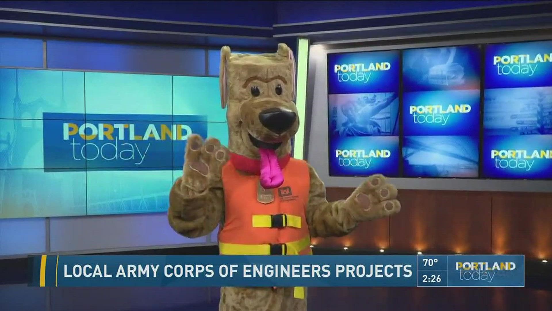 Local Army Corps of Engineers projects