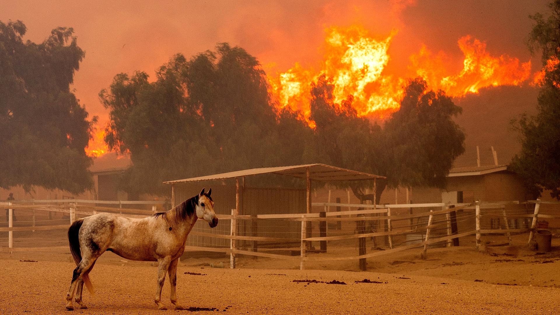 The Mountain Fire in Ventura County has burned more than 20,000 acres since Wednesday. Some 10,000 people remained under evacuation orders Friday morning.