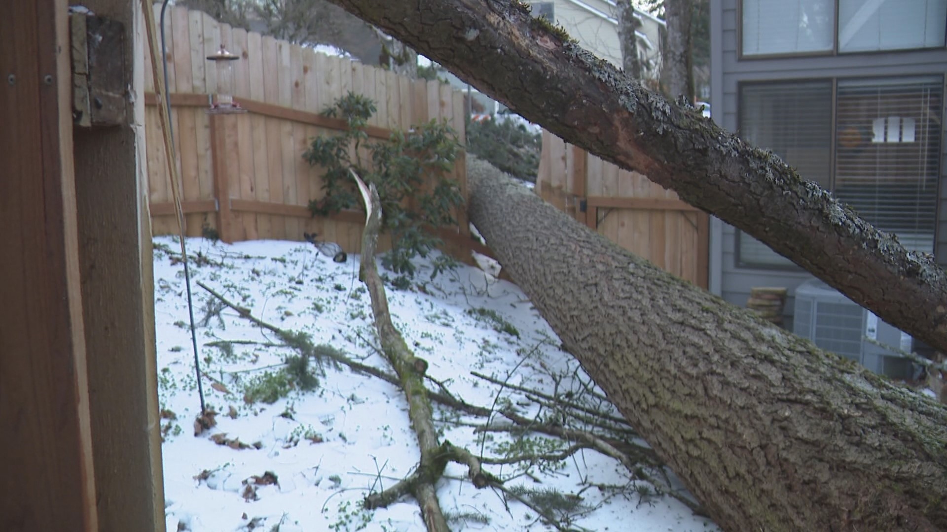 Amid freezing rain, Lake Oswego residents brace for fallen trees