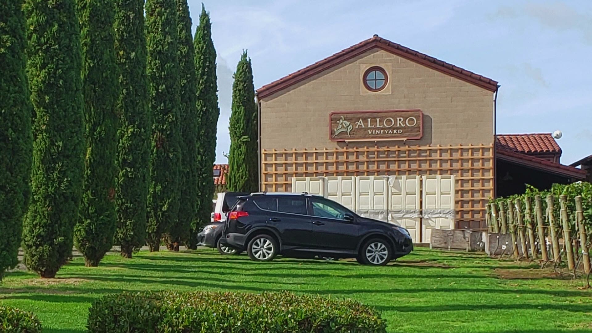 Fall is grape harvest season in the Willamette Valley so meteorologist Rod Hill took a trip out to Sherwood and visited Alloro Vineyard to see how it's done.