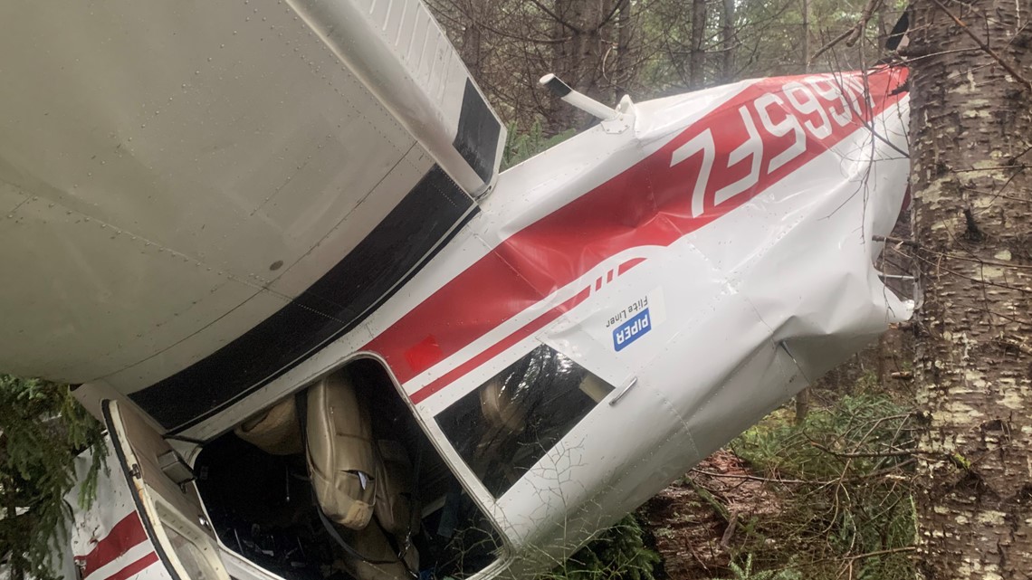 'You're ripping off the tops of the trees': Plane crash survivor describes plunging into Gifford Pinchot National Forest - Vimarsana News