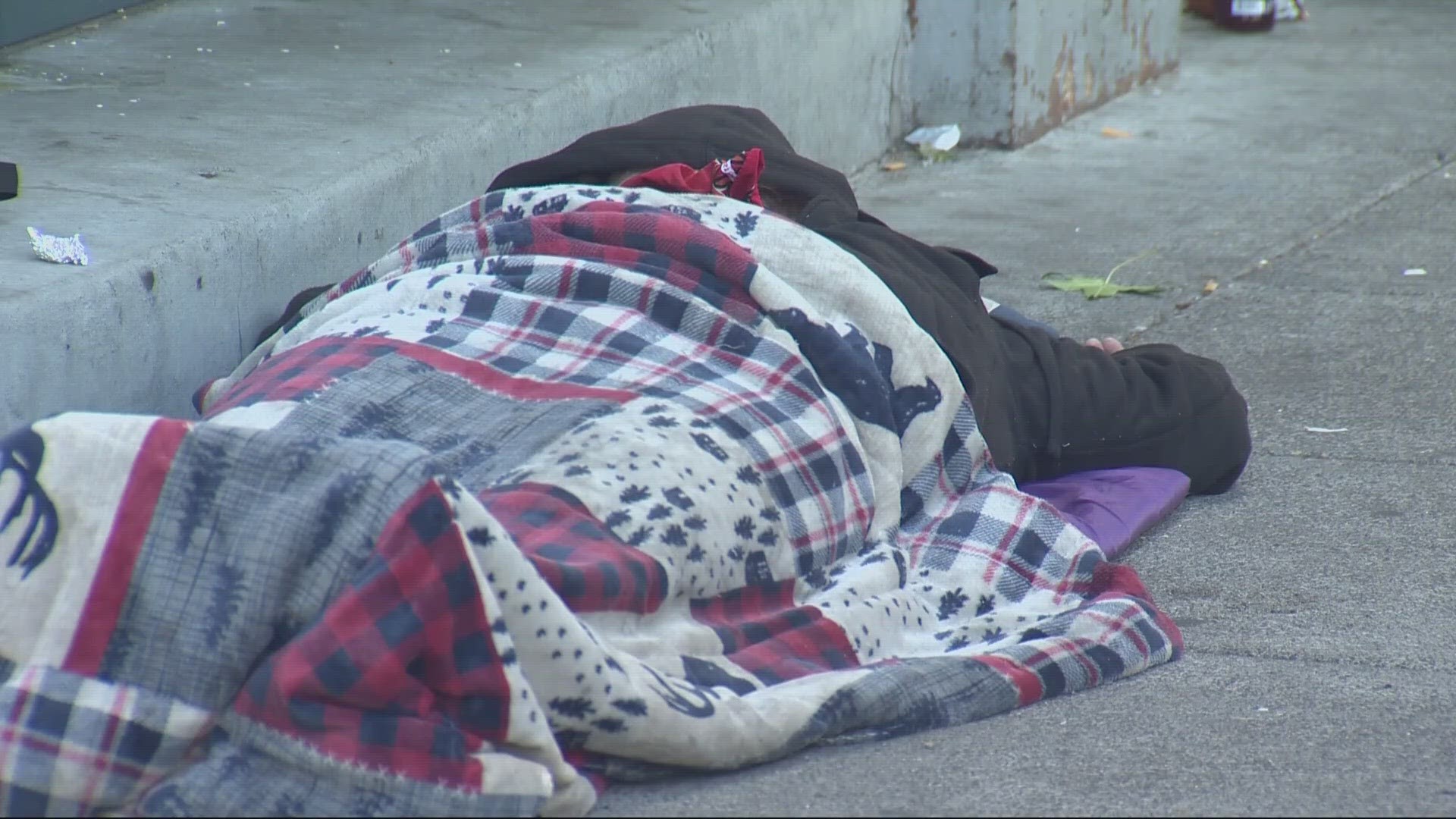 The emergency order will push efforts to address the homelessness crisis and behavior health needs in Multnomah County.