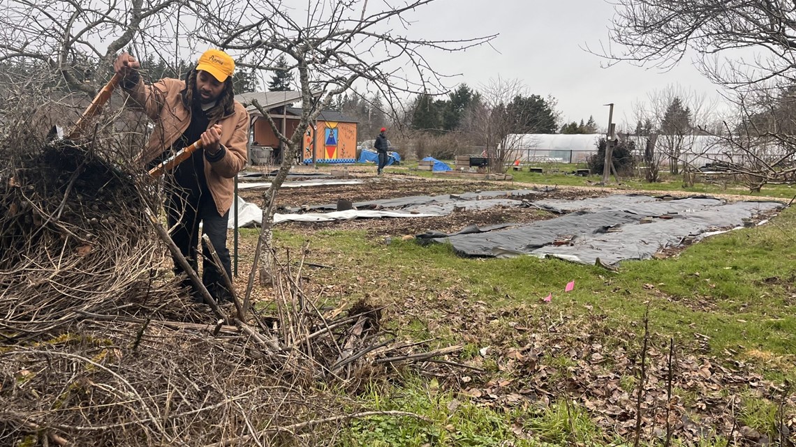 Portland garden connects Black community to ancestral roots - Vimarsana News