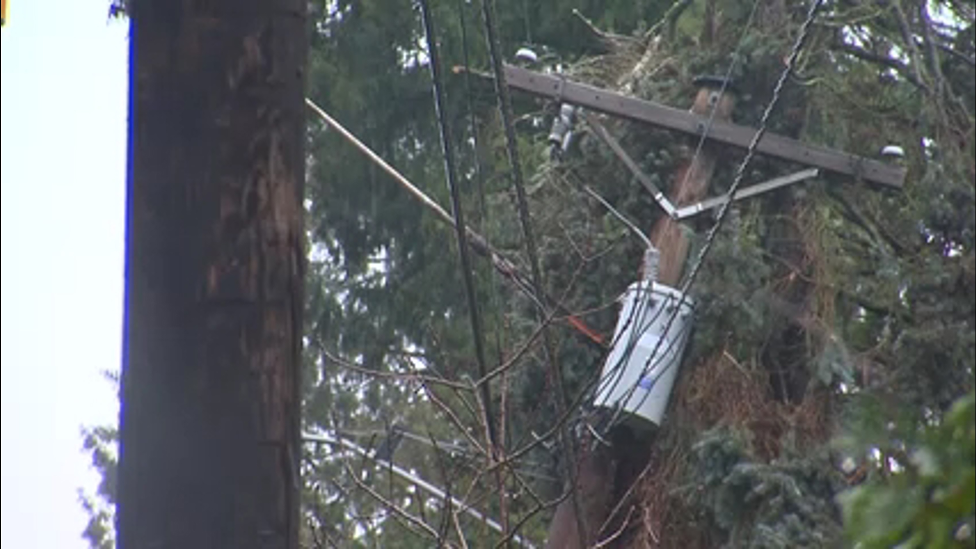 Thousands still without power in Portland metro after heavy windstorm ...