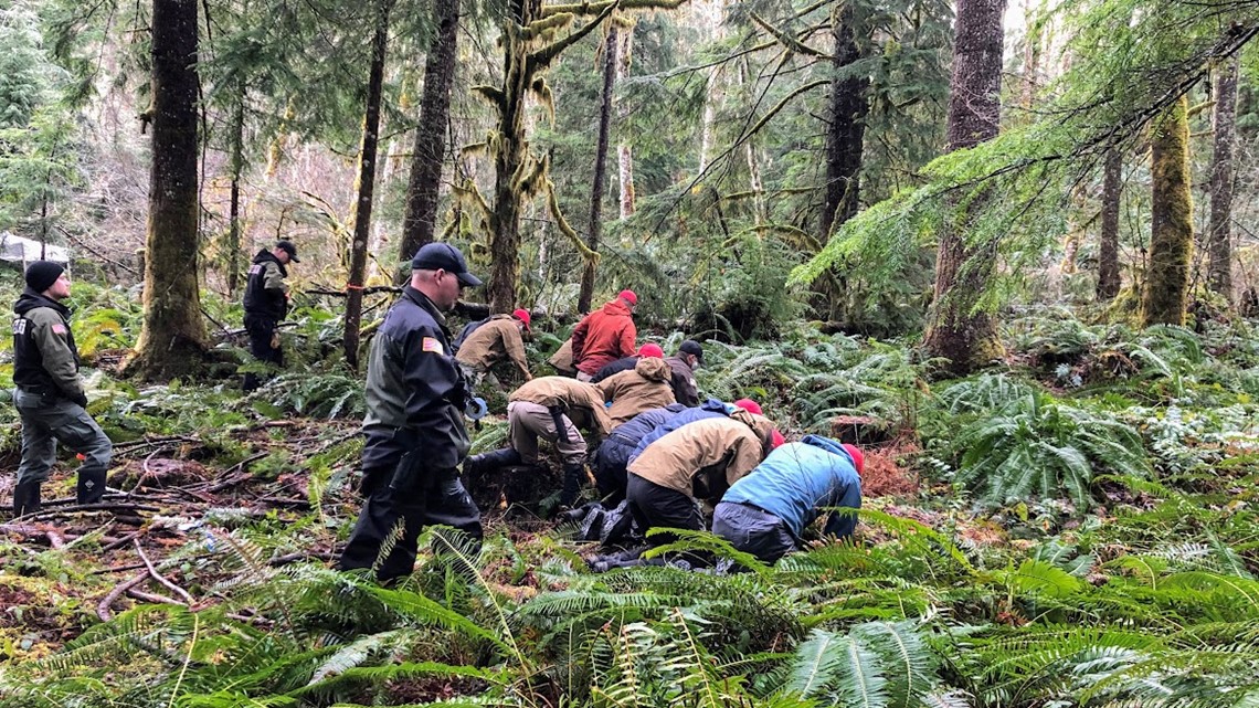 Human remains found in Linn County, east of Sweet Home