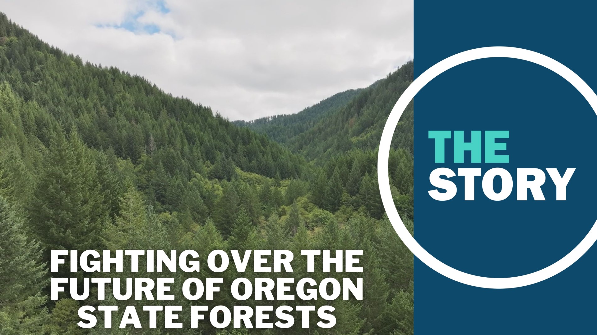 The plan would set aside some areas for endangered species and make them off limits for timber harvesting. The compromise isn't sitting well with all sides.