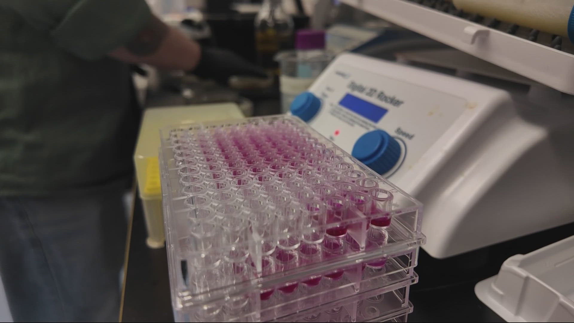 kgw.com - Christine Pitawanich - Portland biotech startup receives millions from National Science Foundation