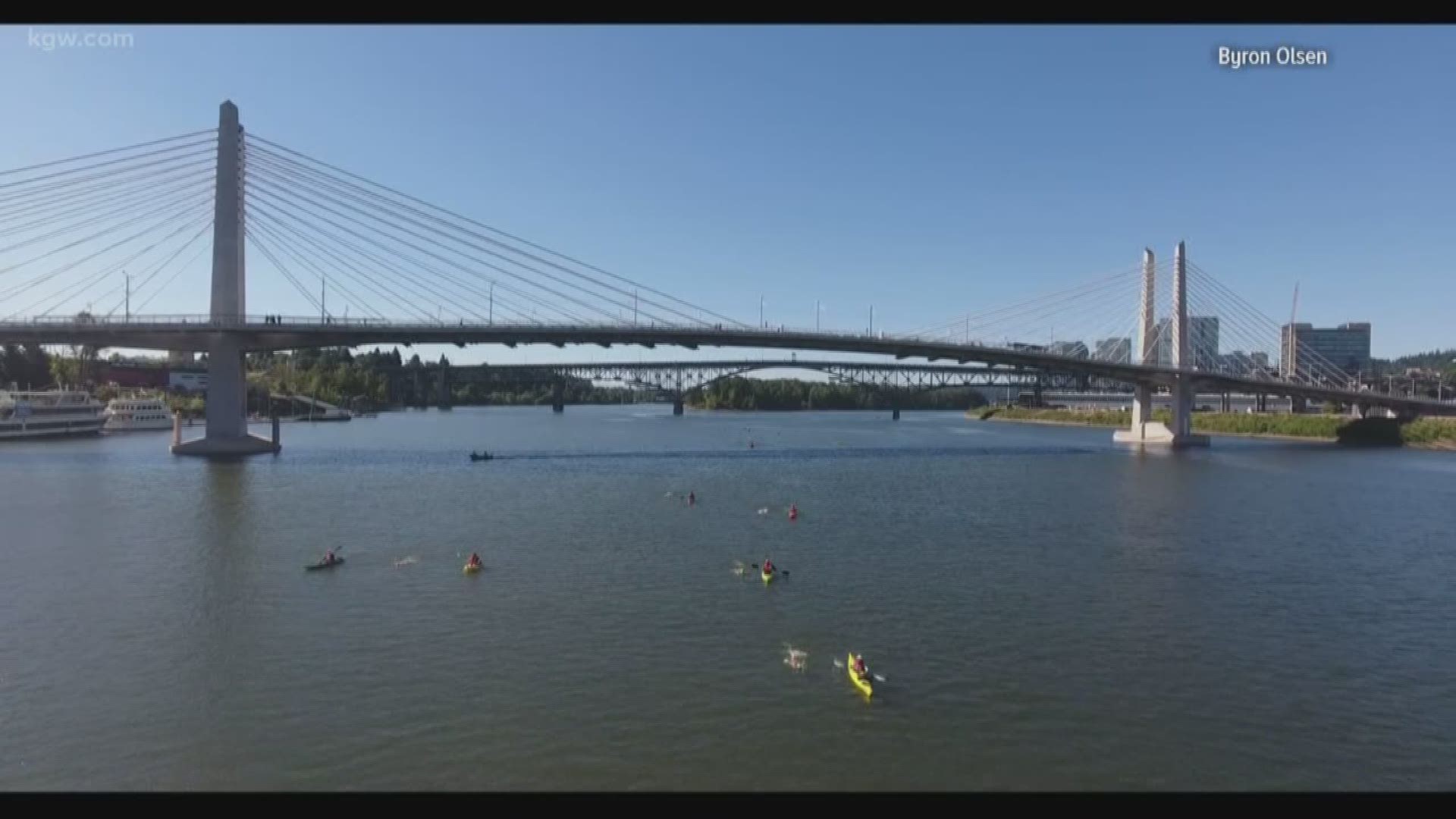 Bridge Swim dips into the Willamette Sunday