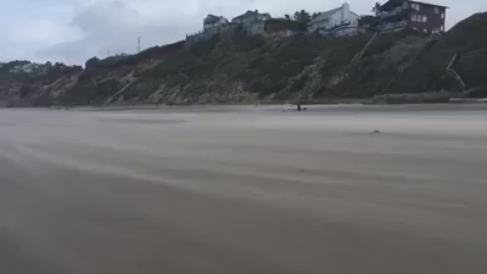 Wind blows sand at Lincoln City on April 8, 2018