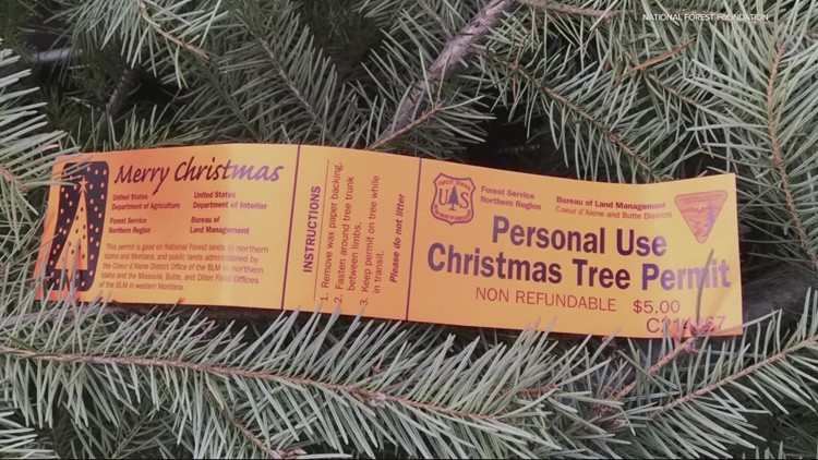 Let's Get Out There: Harvest your own Christmas tree on National Forest lands