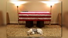 'Mission complete': George H.W. Bush's service dog spends moment with 41st president's casket
