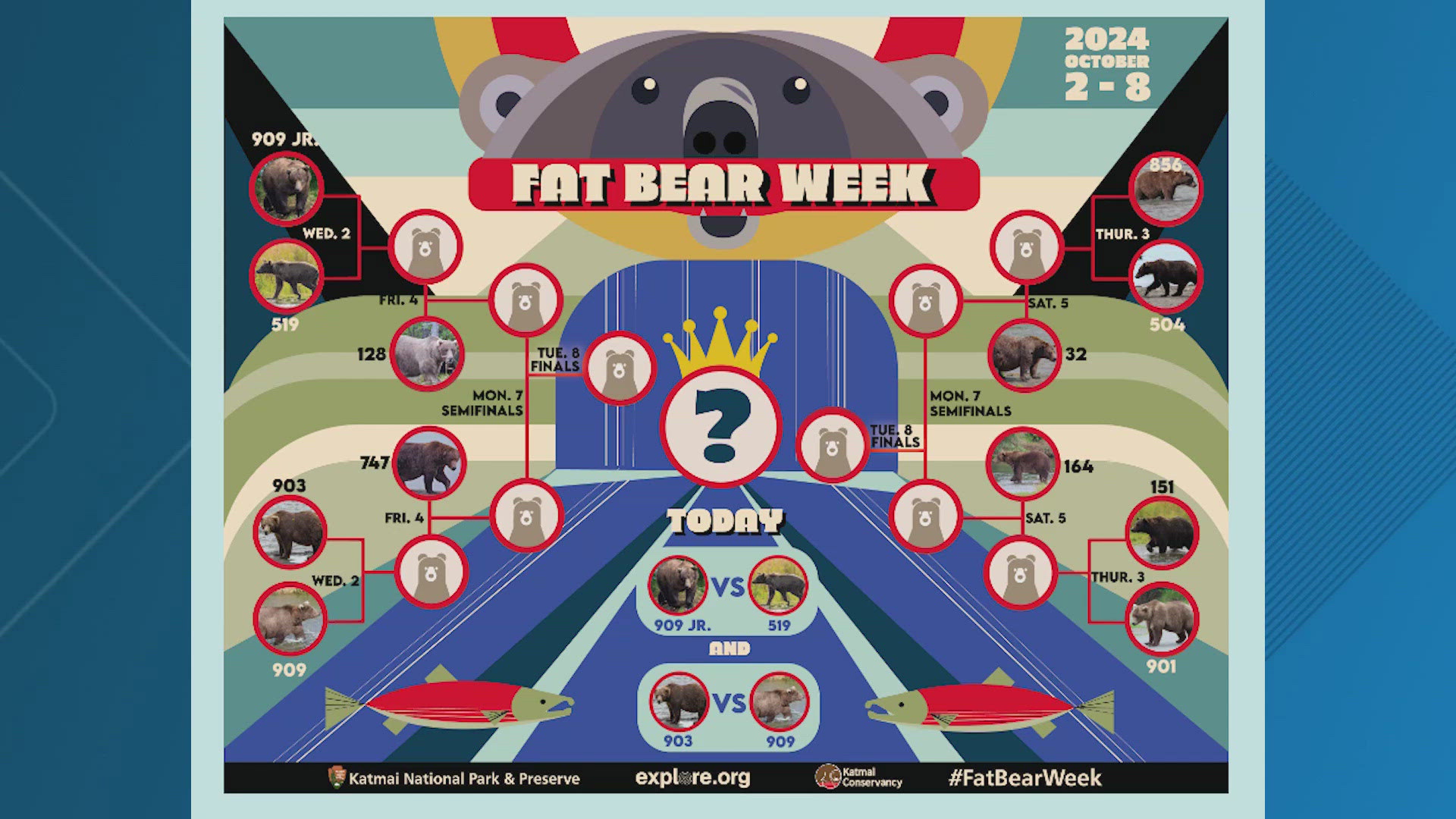 Fat Bear Week brings competitive eating to a whole new level — not to mention a different species.