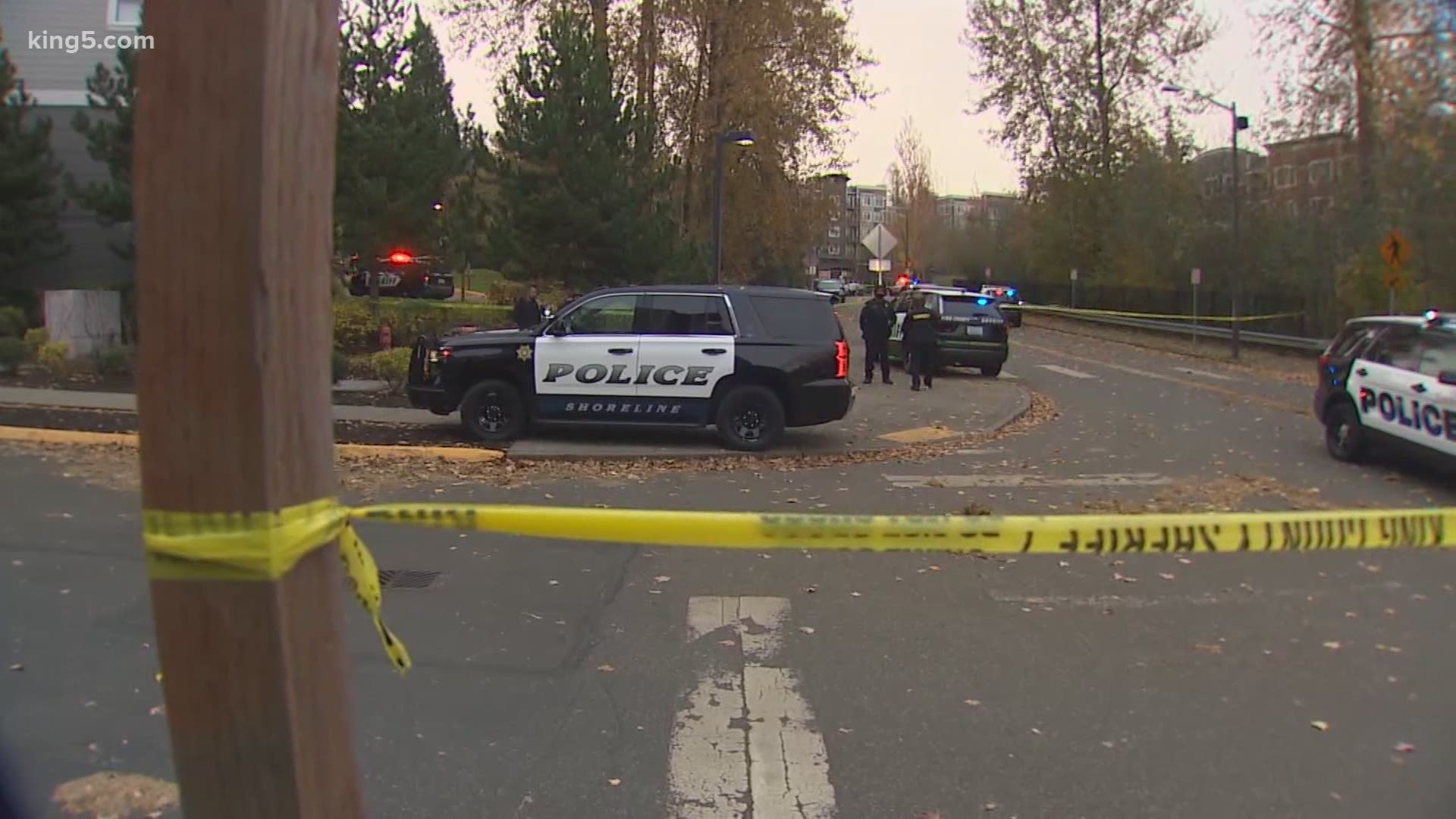 Two King County Sheriff's deputies were shot while responding to a car prowler complaint. The suspect involved was shot and killed.