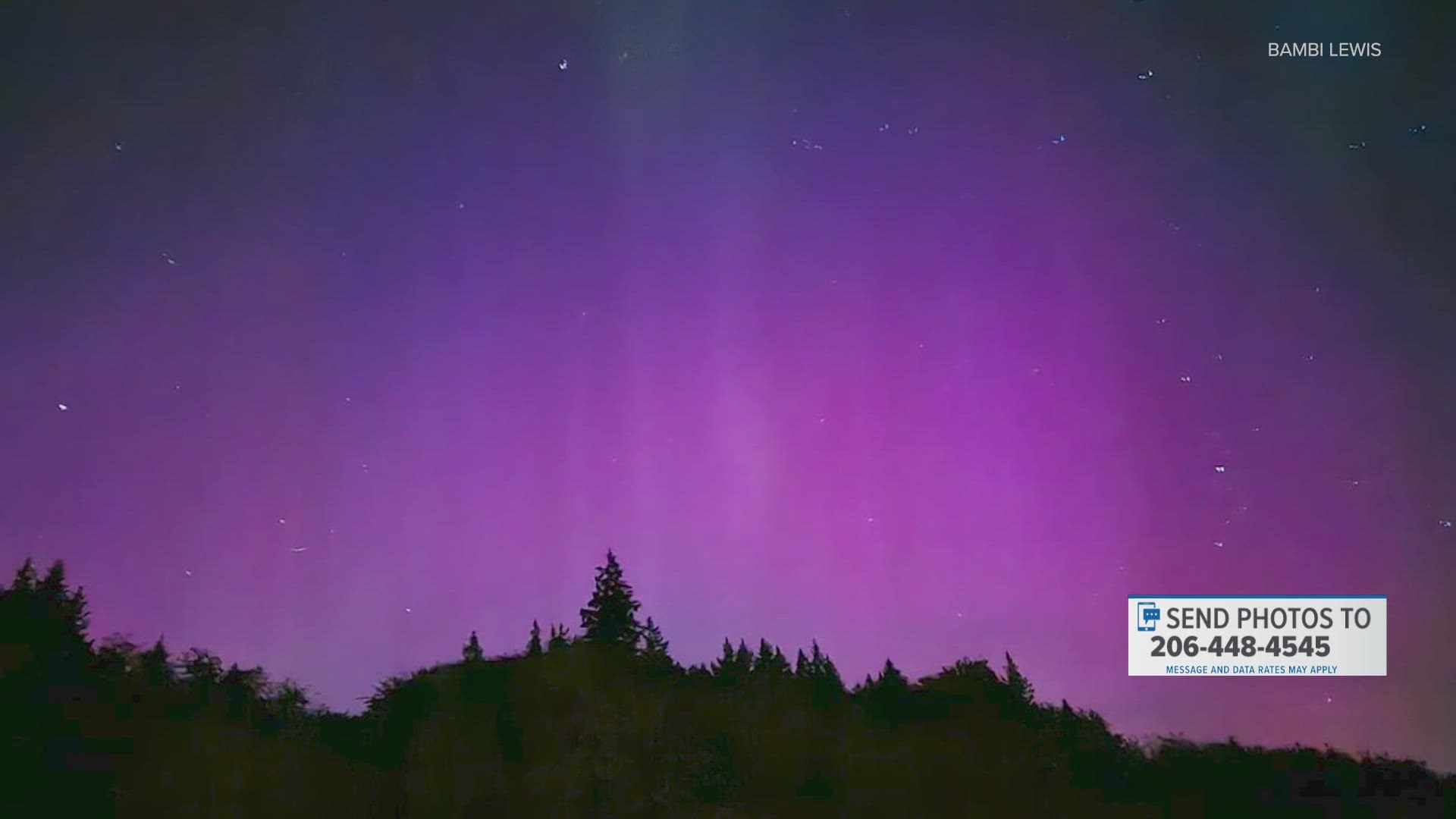 The storm pushed the northern lights further south than they typically go, allowing people all over Washington state to see them.