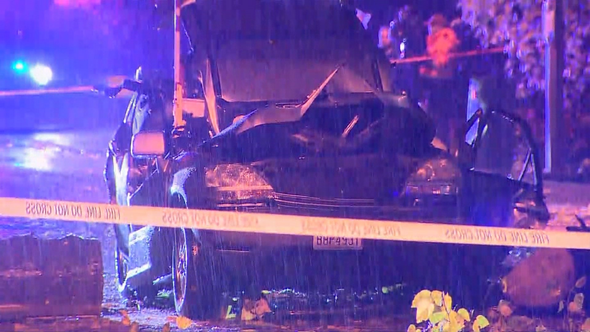 1 dead, 2 injured after tree falls on car near Renton | kgw.com