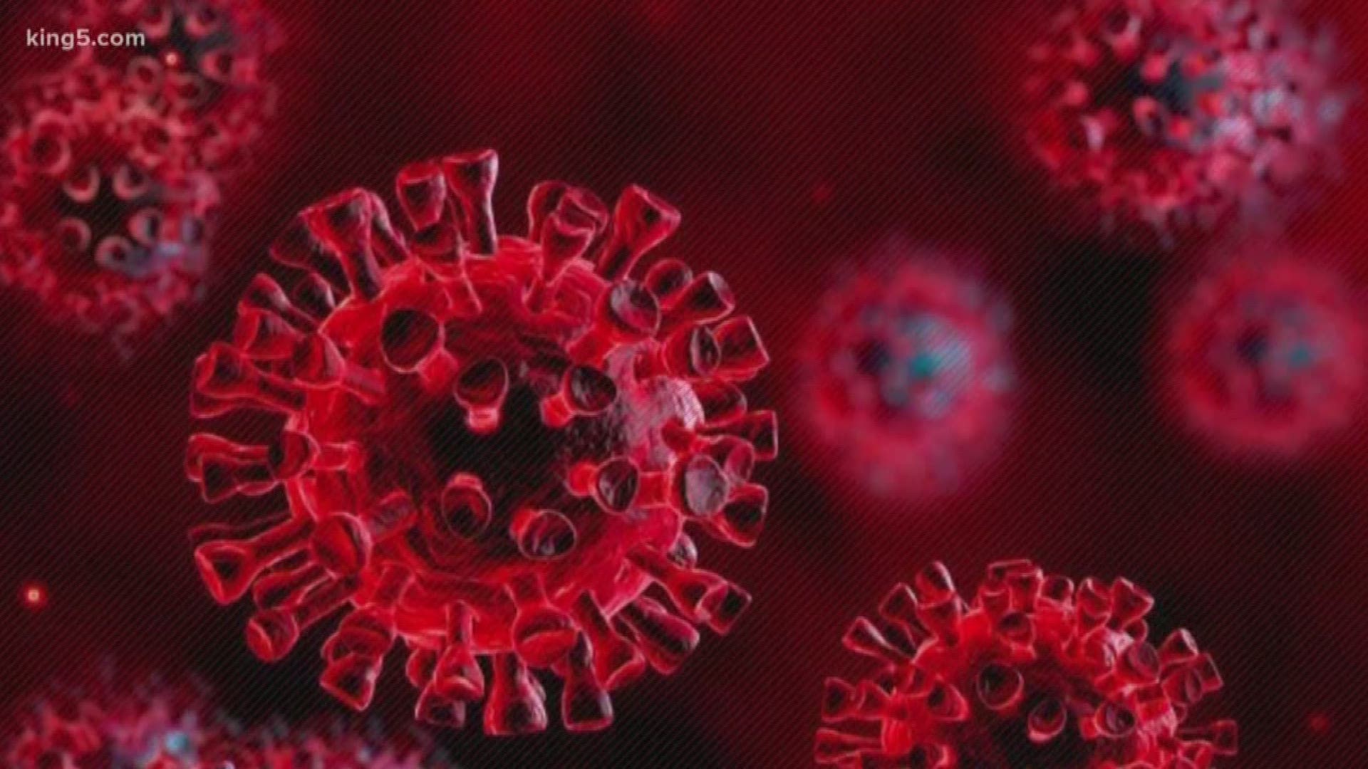 Two more people have been diagnosed with the 2019 novel coronavirus (COVID-19), Washington health officers announced Friday night.