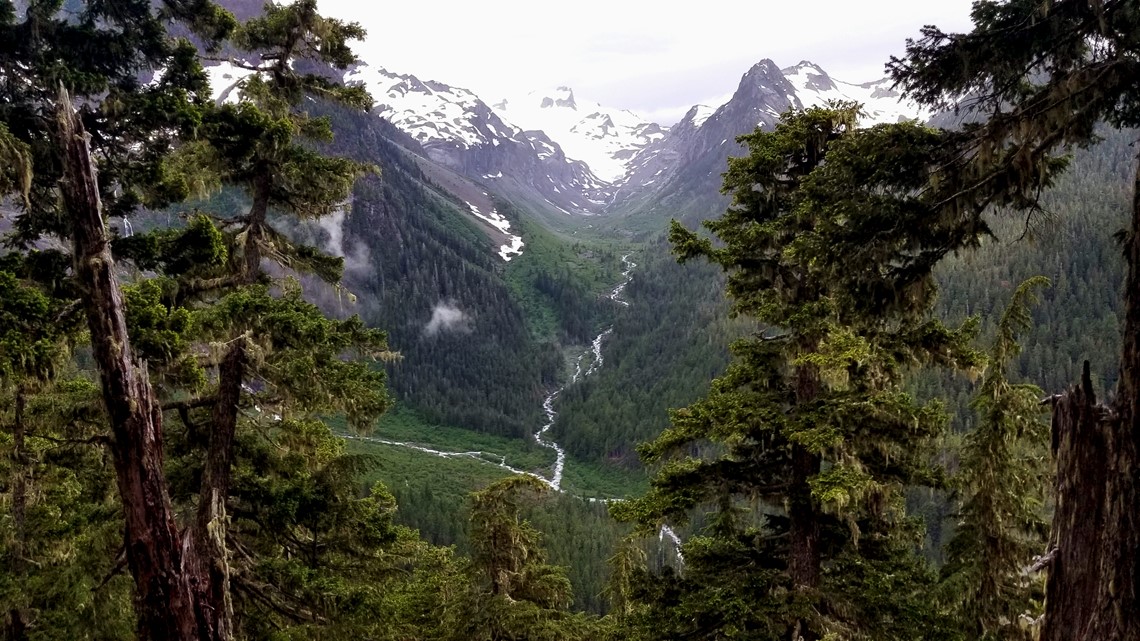 Glacier 2025 meadows campground