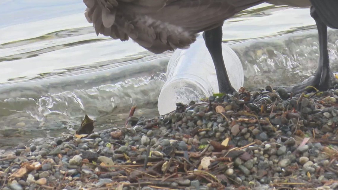 Styrofoam and polystyrene materials, like takeout containers, will be banned in Washington starting June 1 - Vimarsana News