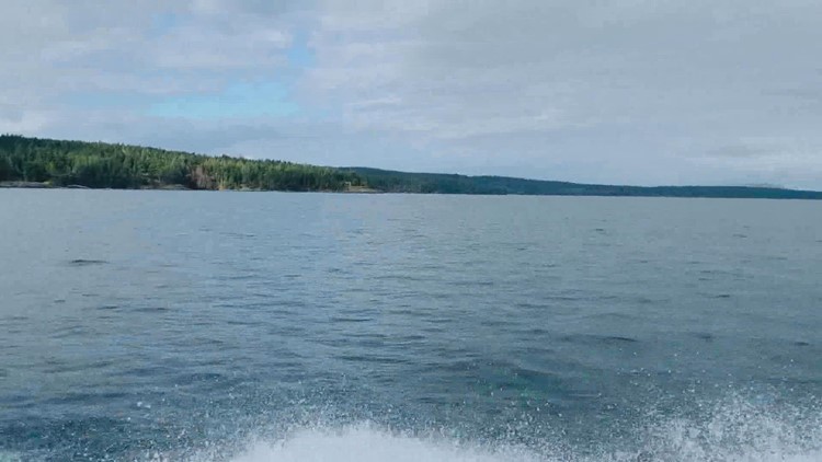 How 'mystery boom' on Orcas Island was studied by local scientists