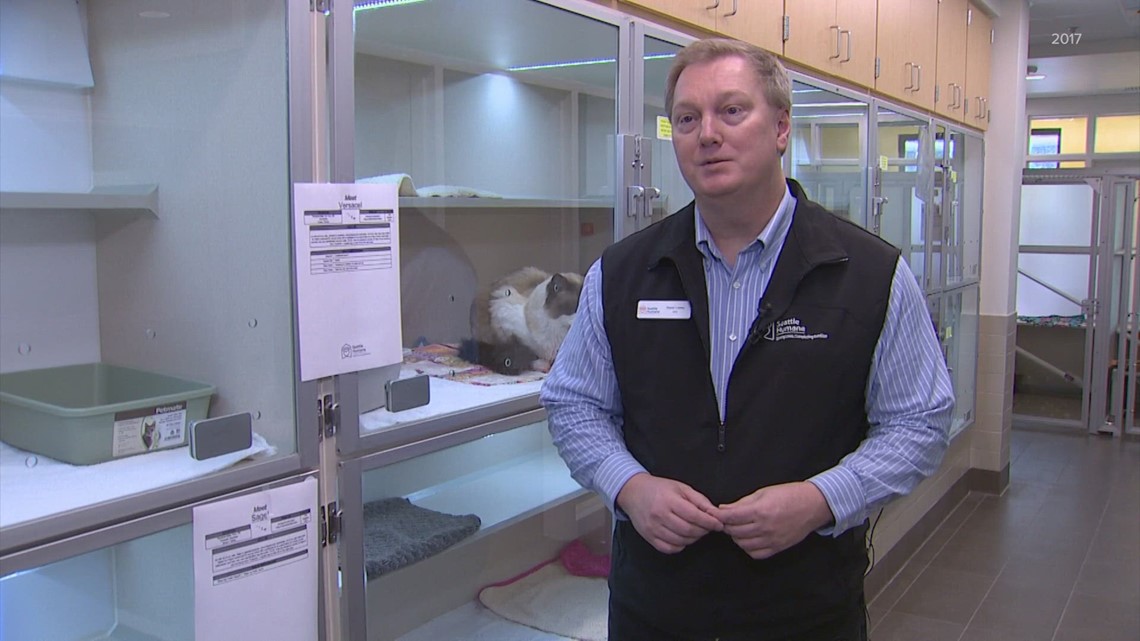 Former Seattle Humane CEO, wife ID'd in North Bend murder-suicide - Vimarsana News