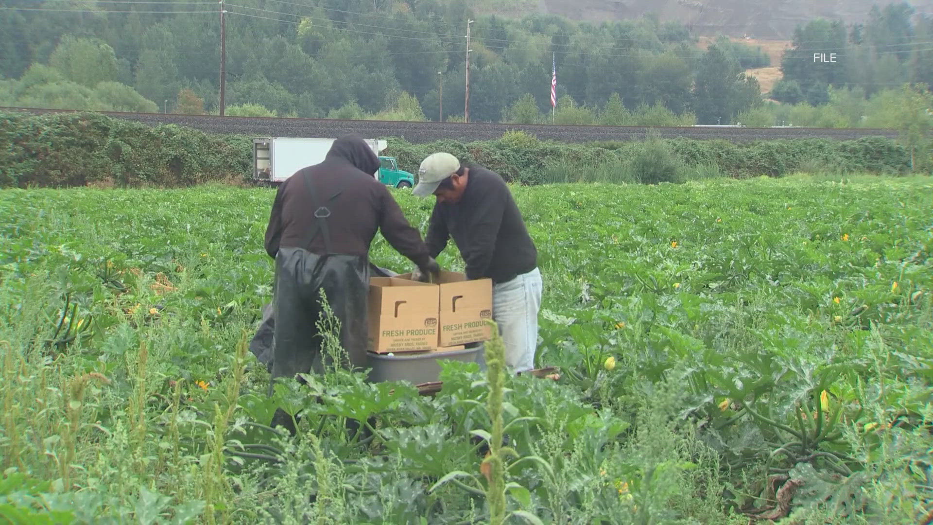 The most recent agriculture census shows that 3,700 Washington farms have closed recently