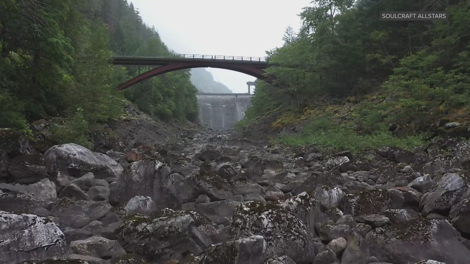 Seattle spent years misleading the public about Skagit River salmon ...