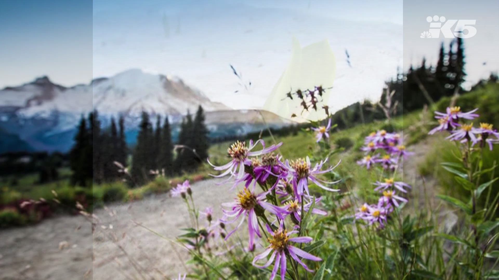 Experts worry about dangers of Mount Rainier eruption despite no signs of activity