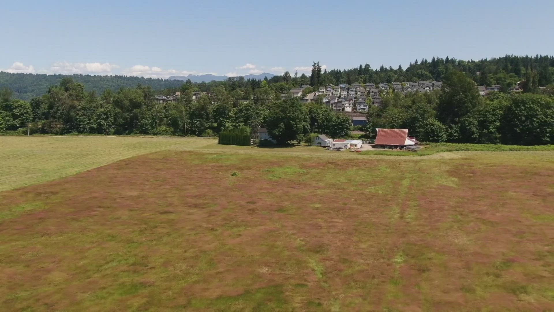 The watch covers the west slopes of the central Cascades as well as the Black Hills and Southwest Interior Lowlands.