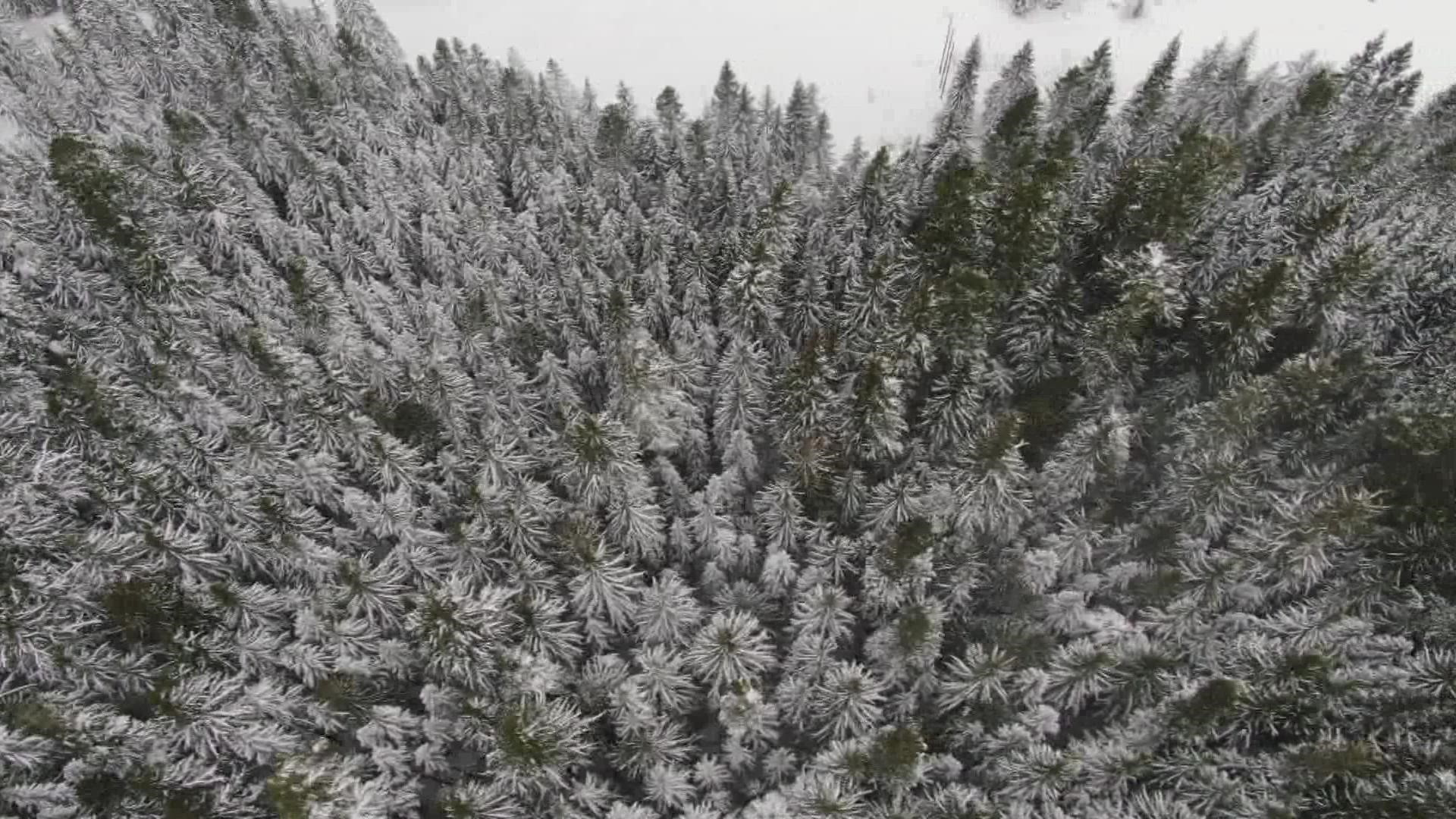 KING 5 Meteorologist Leah Pezzetti explains the main factors impacting snow levels.