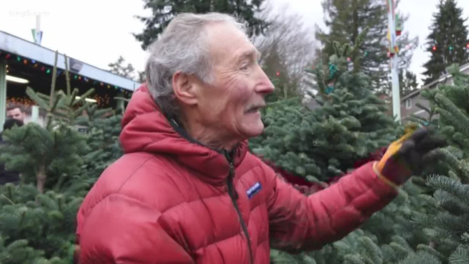 Ciscoe has some tips for picking out the best trees.