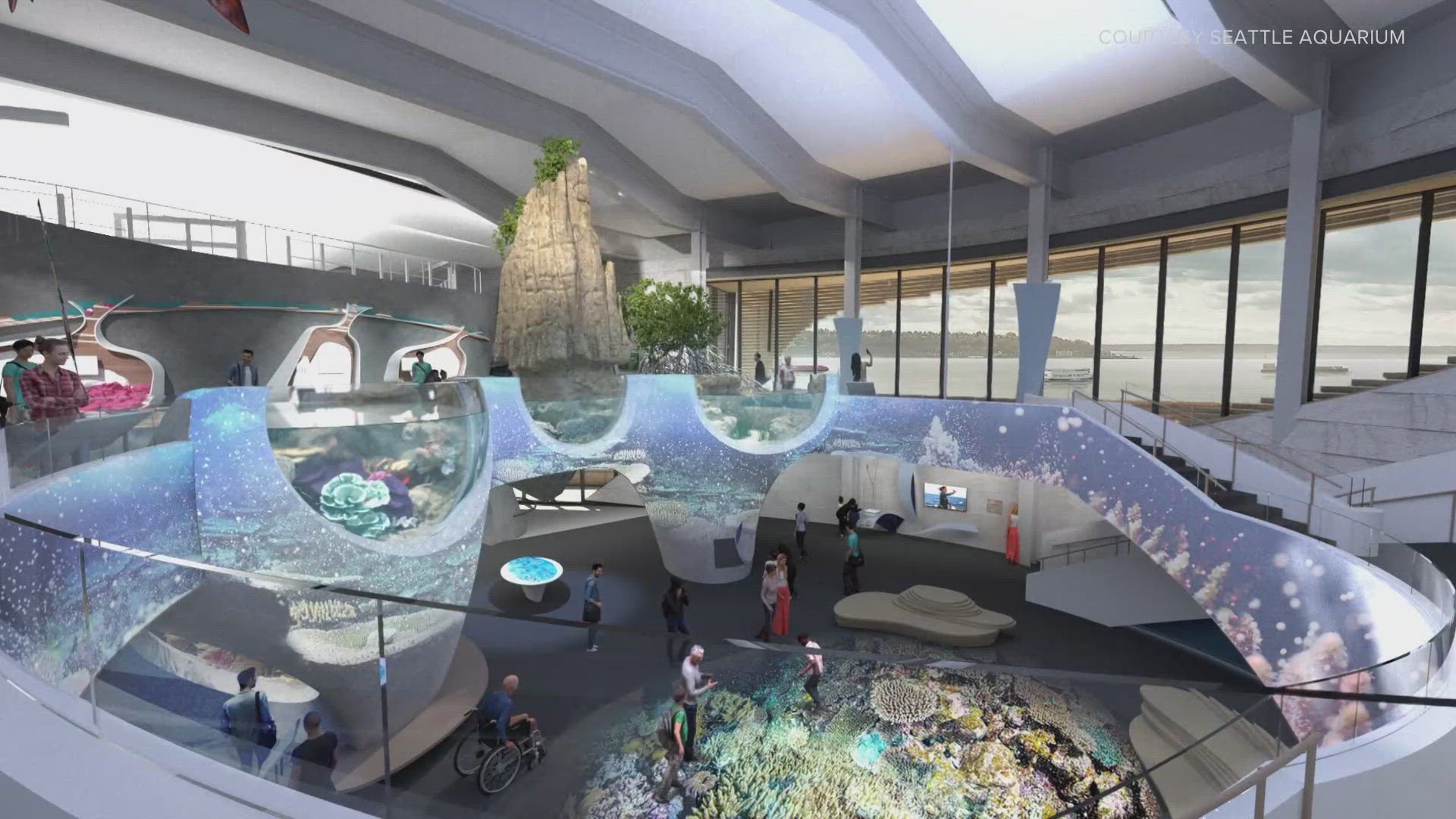 The Seattle Aquarium announced its new Ocean Pavilion expansion is opening on Aug. 29.