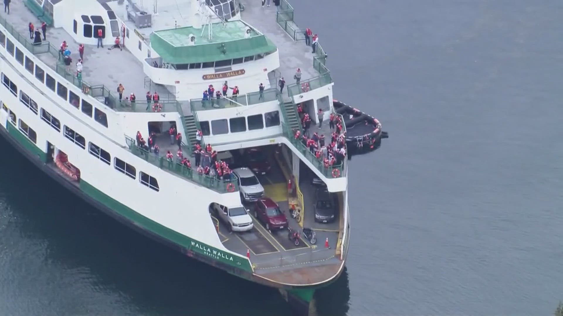 A new report reveals bacterial and fungal growth in the ferry’s fuel filtration system caused the vessel to lose power and steering control in April.