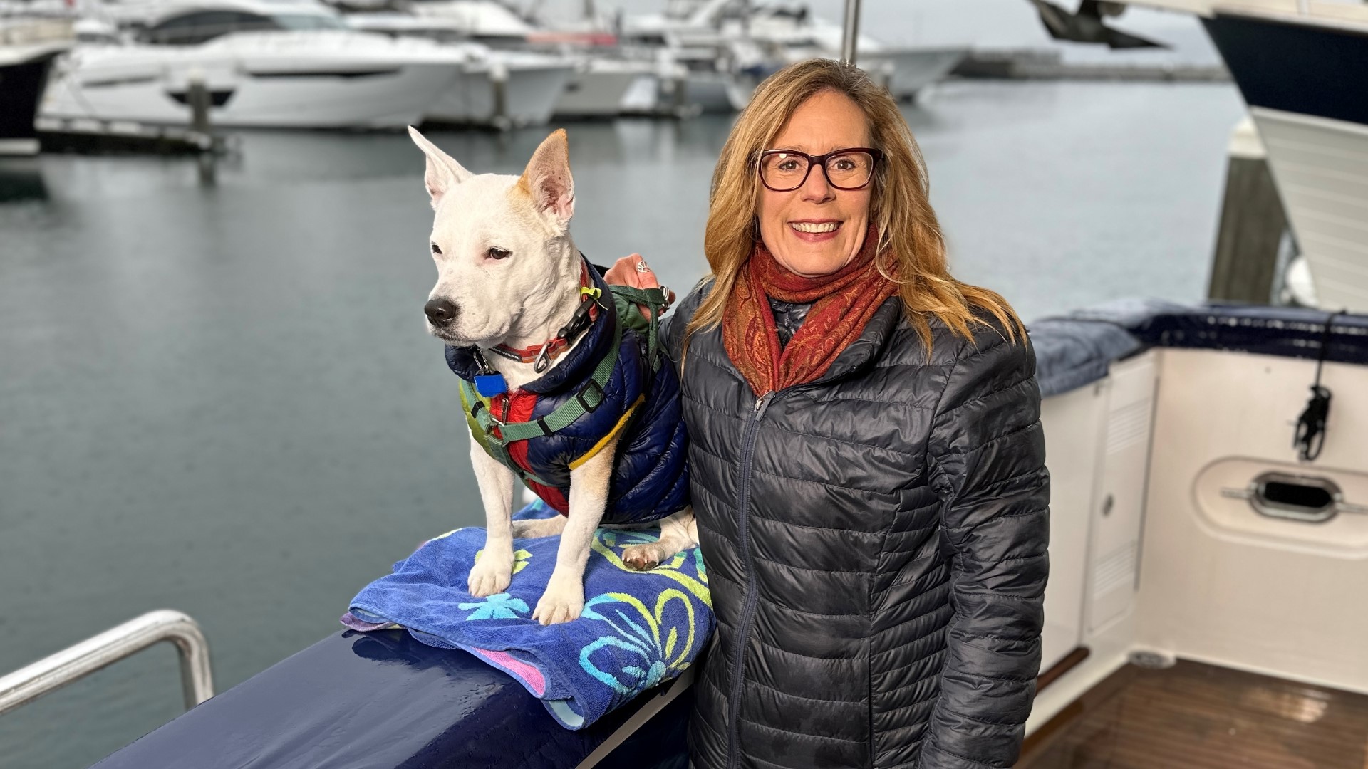 The rescue dog helps sniff out whale scat for researchers. She'll appear at the Seattle Boat Show this week.  #k5evening