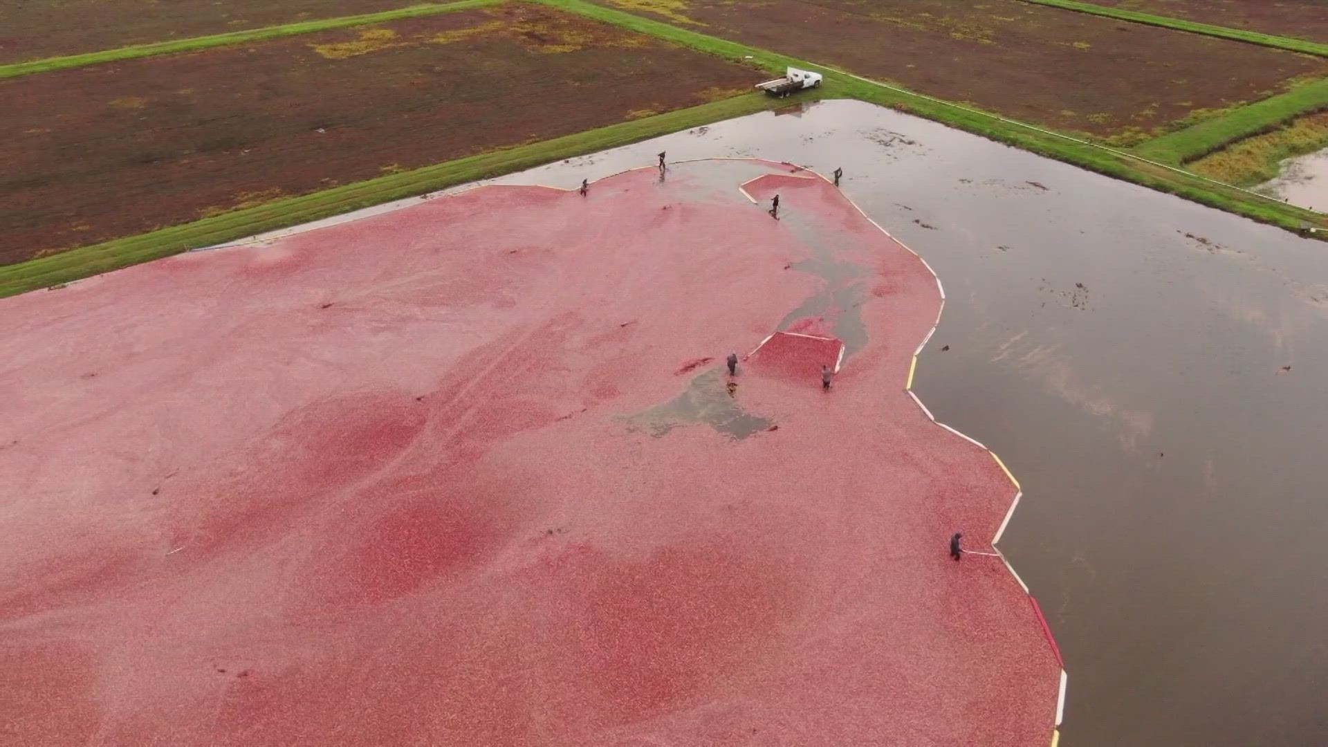 The dry years mean less water in reservoirs, requiring more irrigation.