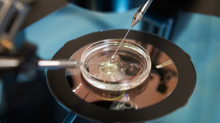 How the overturning of Roe v. Wade could impact IVF