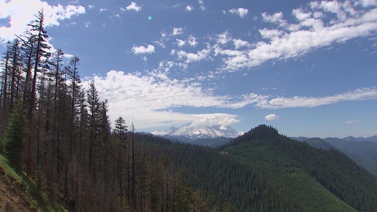 What drives big wildfires in western Washington? This meteorological phenomenon is a factor